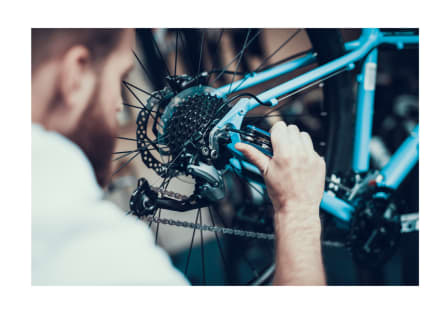 Bicycle Store