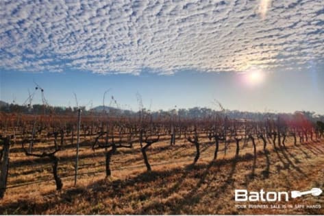 Ballandean Estate Vineyard & Winery for Sale