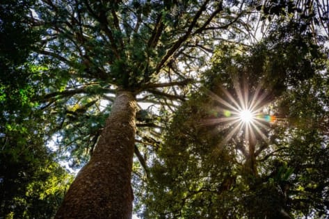 Ibiu8tkzchteckiyijvi