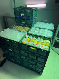 National Food Manufacturing and Distribution business for Sale (PRICE REDUCTION)