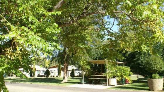 Numurkah Caravan Park –Freehold residence plus leasehold business