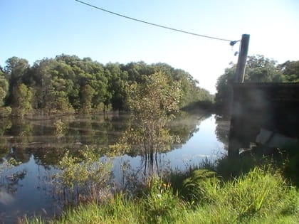 Farm Plantation North NSW Expression of Interest