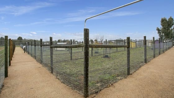 Escape the City. Bring Your Income With You.
Established Boarding Kennel Business + Home + 45 Acres