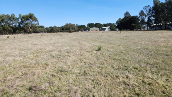 Rural Business & Lifestyle  -  Freehold Available