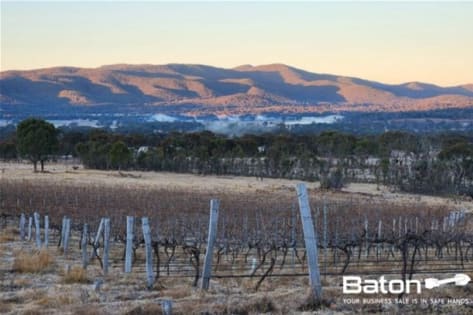 Ballandean Estate Vineyard & Winery for Sale