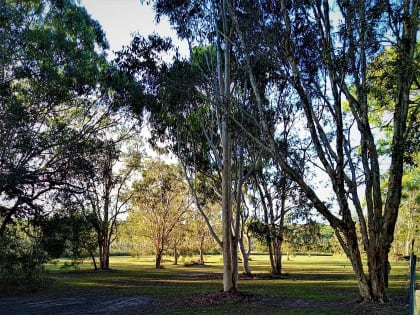 Thriving Business & Lifestyle Opportunity in the Heart of the Sunshine Coast Hinterland