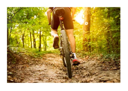 Bicycle Store