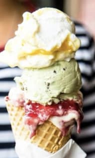 ICE CREAM & SELF SERVE YOGHURT - STATE OF THE ART SHOP COST $480,000 TO SET UP
