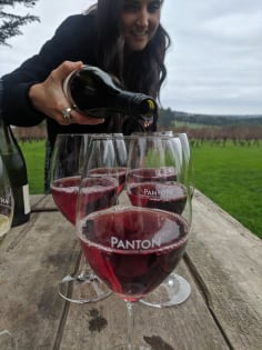 OWN AN AWARD-WINNING TOUR BUSINESS – 7 YEARS OF PROVEN SUCCESS