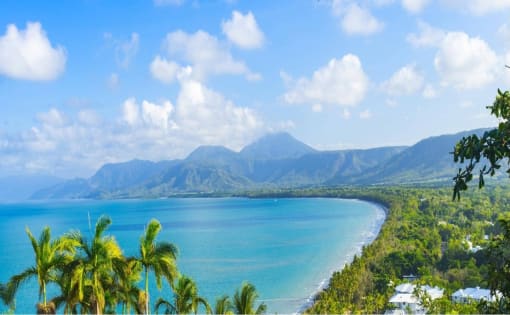 Motivated vendors, price reduction make an offer – Port Douglas Management Rights