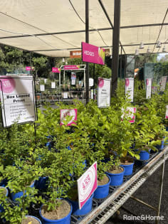 Established Regional Lifestyle Business For Sale