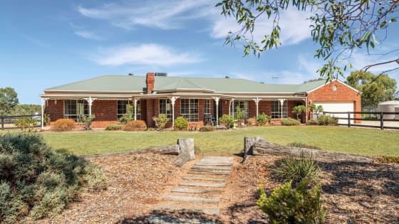 Escape the City. Bring Your Income With You.
Established Boarding Kennel Business + Home + 45 Acres