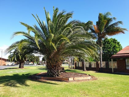 A WELL PRESENTED MOTEL BUSINESS READY FOR FURTHER GROWTH - 521ML