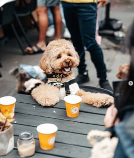 P0p5zofkewfaypxgkizg