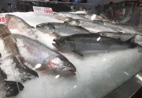 Profitable seafood retail business strong weekly sales secure lease-for sale Chatswood