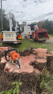 Total Tree & Stump Removal