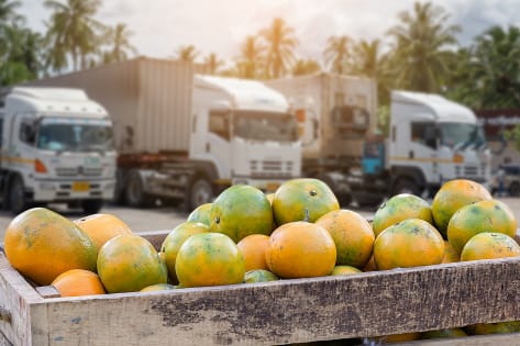 Premium Fresh Produce Wholesale & Retail – Two Distinct Businesses for Sale