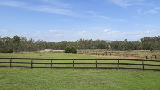 Escape the City. Bring Your Income With You.
Established Boarding Kennel Business + Home + 45 Acres