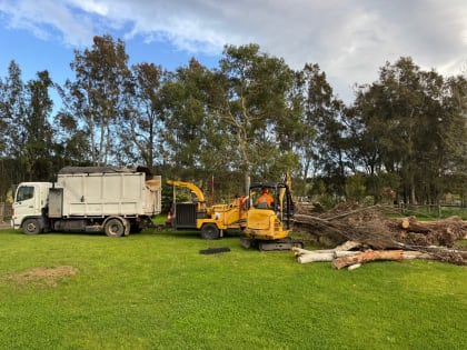 Fully Equipped Tree Services Business with Ongoing Bookings