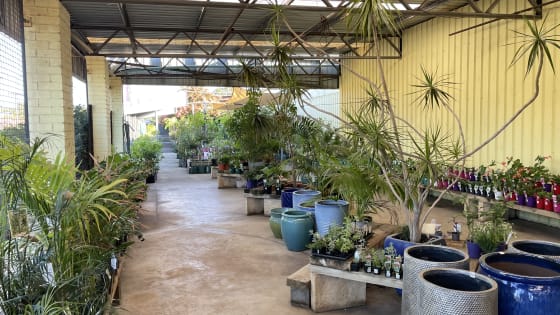 Donnybrook Hardware & Garden Centre