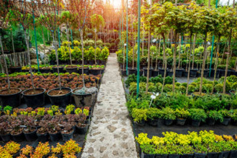 Profitable Regional Nursery | Semi-Passive Operation | Central Victoria