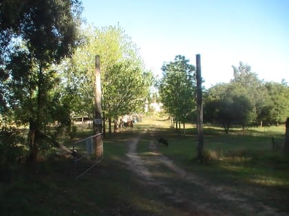 Farm Located in north NSW