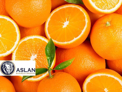 FRUIT, VEG & FRESH PRODUCE BUSINESS FOR SALE