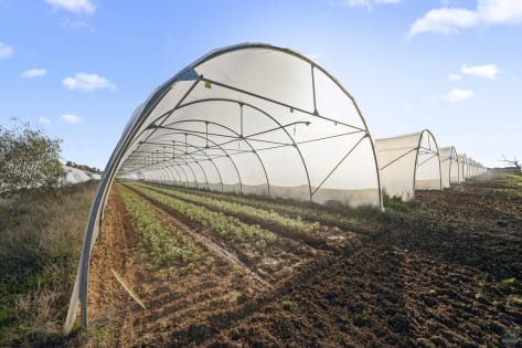 Sta9wzbwrva7stzmquf0