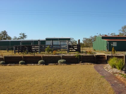 77.92 Hectares & Large Lowset Home 10 mins from Kingaroy