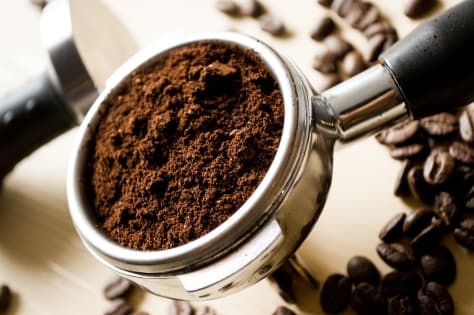 CAFÉ FOR SALE – HIGH‑EXPOSURE ALPHINGTON LOCATION