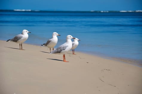 Luxury Coastal Management Rights - ID 9227