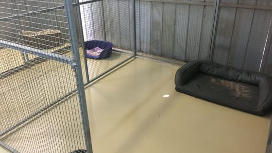 Escape the City. Bring Your Income With You.
Established Boarding Kennel Business + Home + 45 Acres