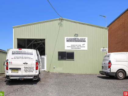 Doggy Day Care & Grooming Business Under Management