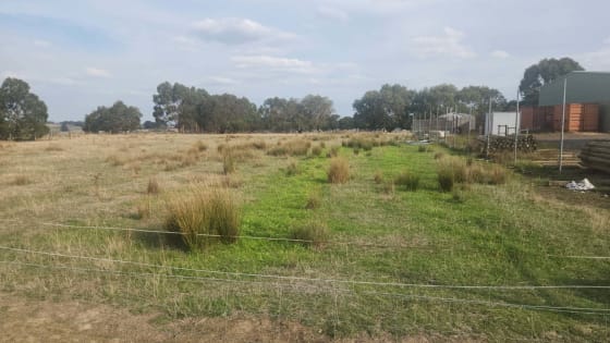 Rural Business & Lifestyle  -  Freehold Available