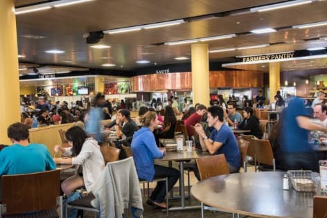 ​COFFEE LOUNGE – UNIVERSITY CAMPUS - 50KG COFFEE / CHOCOLATE - 5 DAYS