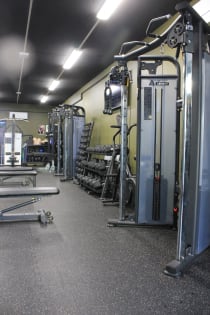 Maroubra Gym, Turnkey Opportunity with Strong Profit and Loyal Memberships
