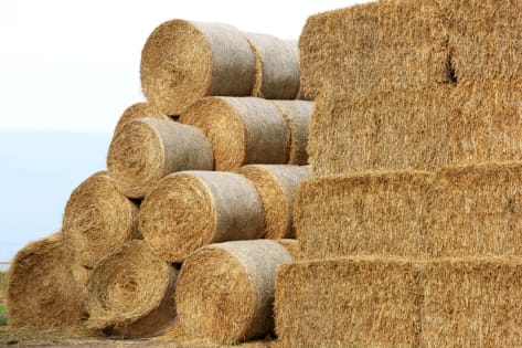 Vulsky3hhsuadkv7fmql