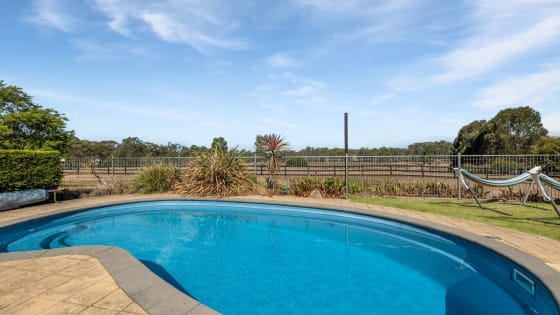 Escape the City. Bring Your Income With You.
Established Boarding Kennel Business + Home + 45 Acres