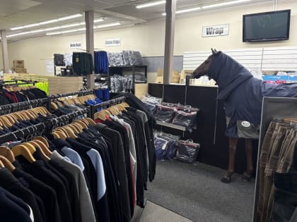 Uniform specialists, Embroidery, Lotto & Stationery Business in  Wagga Wagga