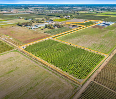 SUCESSFUL FIG FARMING BUSINESS WITH 21 ACRES OF FREEHOLD LAND (EoI)