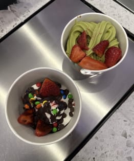 ICE CREAM & SELF SERVE YOGHURT - STATE OF THE ART SHOP COST $480,000 TO SET UP