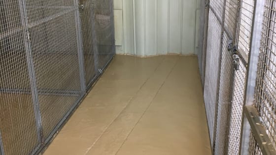 Escape the City. Bring Your Income With You.
Established Boarding Kennel Business + Home + 45 Acres