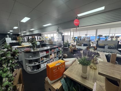 Albany Icon Business