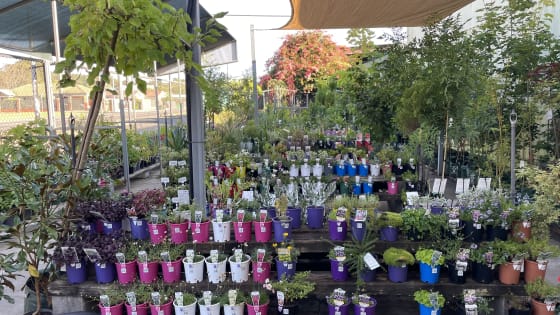 Donnybrook Hardware & Garden Centre