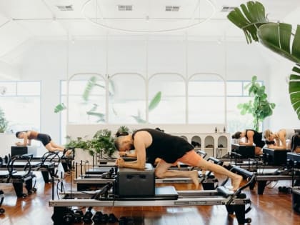 Grow Your Own Studio Spring