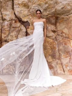 Bridal Wedding Gowns - International Designers - est. 20 + Years