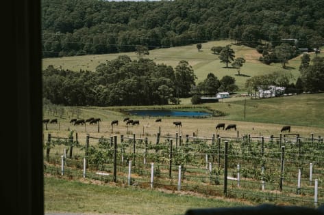 Award-Winning Two Figs Winery, Shoalhaven Coast