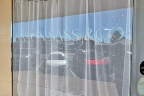 SALON SASS & CO - Established Reputation & Clientelle