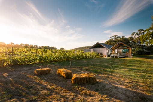 Business for Sale - Barnyard 1978 Restaurant, Yallingup