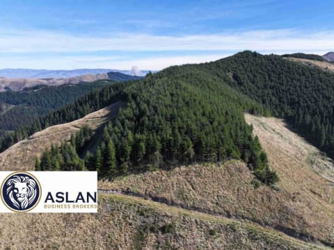 LAND FOR SALE IN NEW ZEALAND